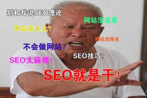 SEO就是干!不要再观望了